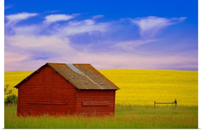 A Red Farm Building Against A Canola Field