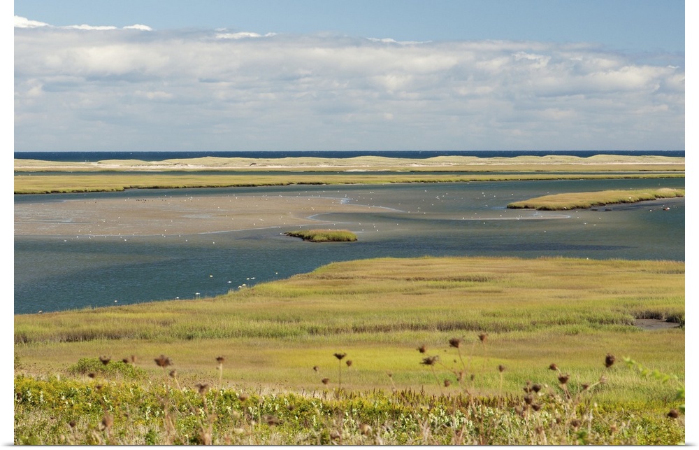 A scenic view of a coastal marsh and barrier island. Fort Hill, Eastham, Cape Cod, Massachusetts.