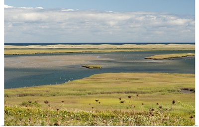 A Scenic View Of A Coastal Marsh And Barrier Island, Cape Cod, Massachusetts
