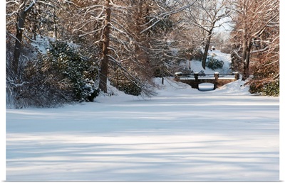 A snow-covered landscape with a pond, trees, and a footbridge.; Cambridge, Massachusetts.