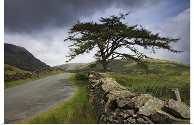 A Stone Fence Running Along A Road; Lake District, Cumbria, England