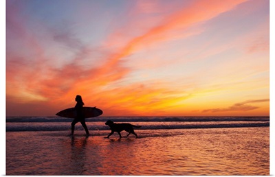 A Surfer Walks In Shallow Water With Her Dog At Sunset, Andalusia, Spain