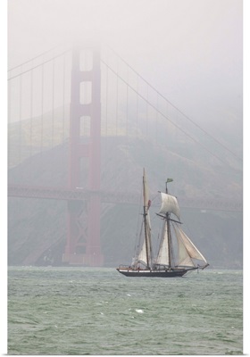 A two masted schooner sails under the Golden Gate Bridge.; San Francisco, California.