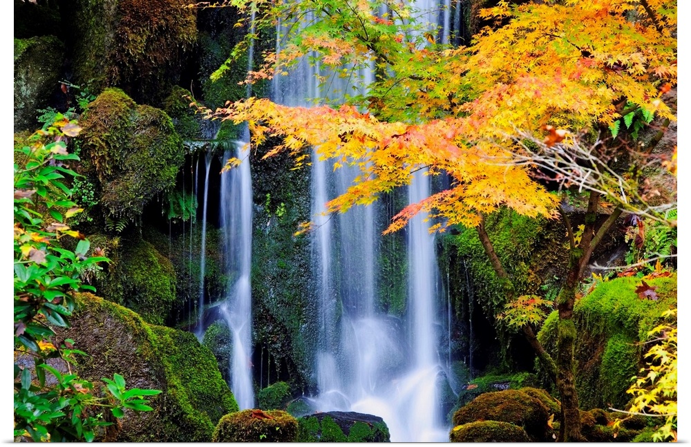A Waterfall In A Japanese Garden In Autumn, Portland, Oregon