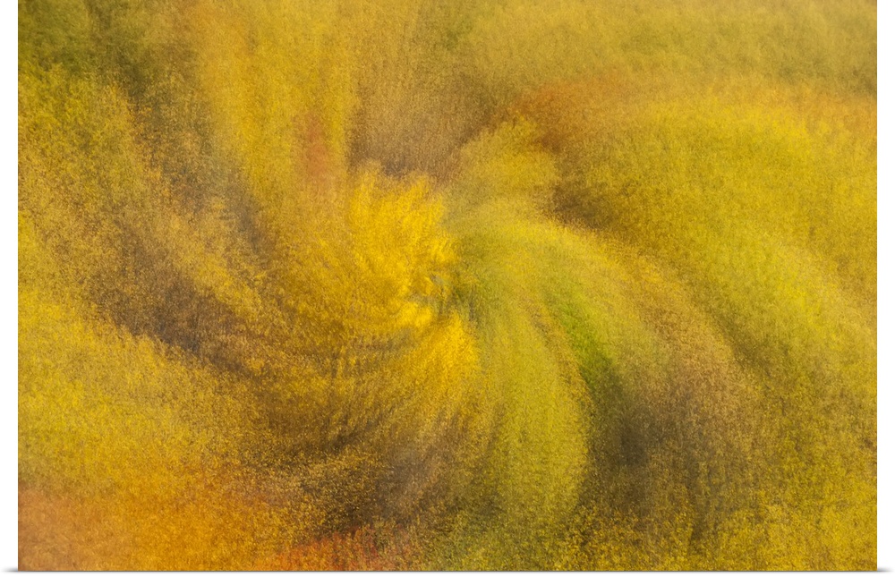 Abstract zoom effect of a swirl of golden, fall foliage in Great Smokies National Park, Tennessee, North Carolina, United ...