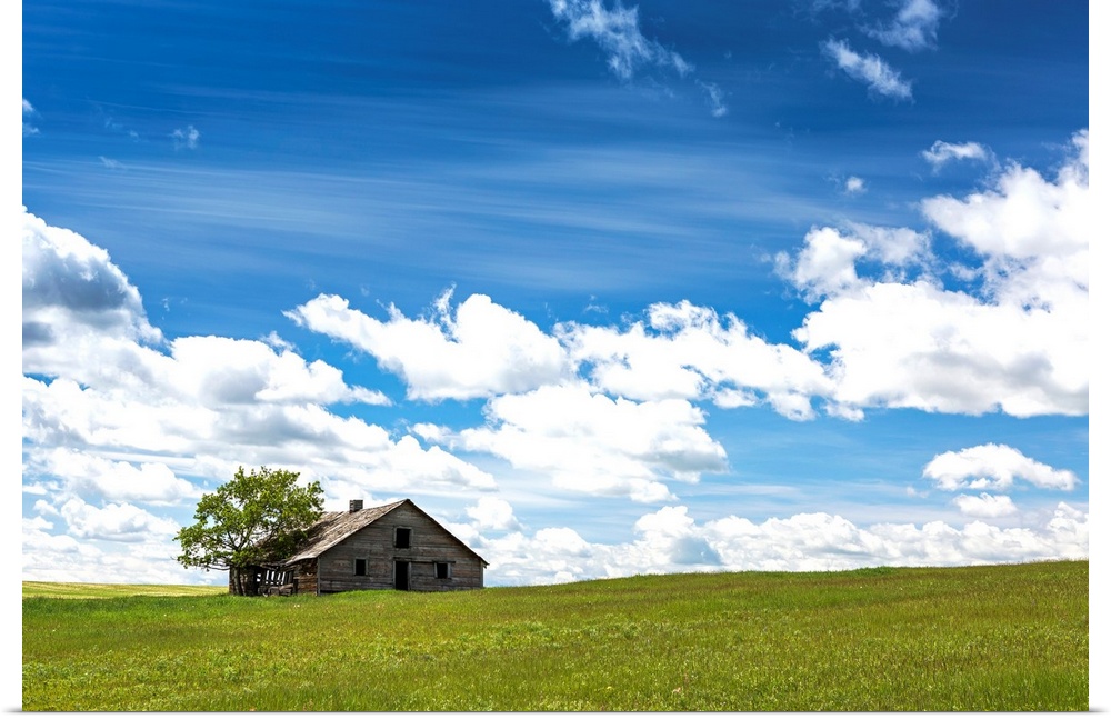 An old wooden building with one tree in a rolling grassy field with clouds and blue sky, West of High River, Alberta, Canada.