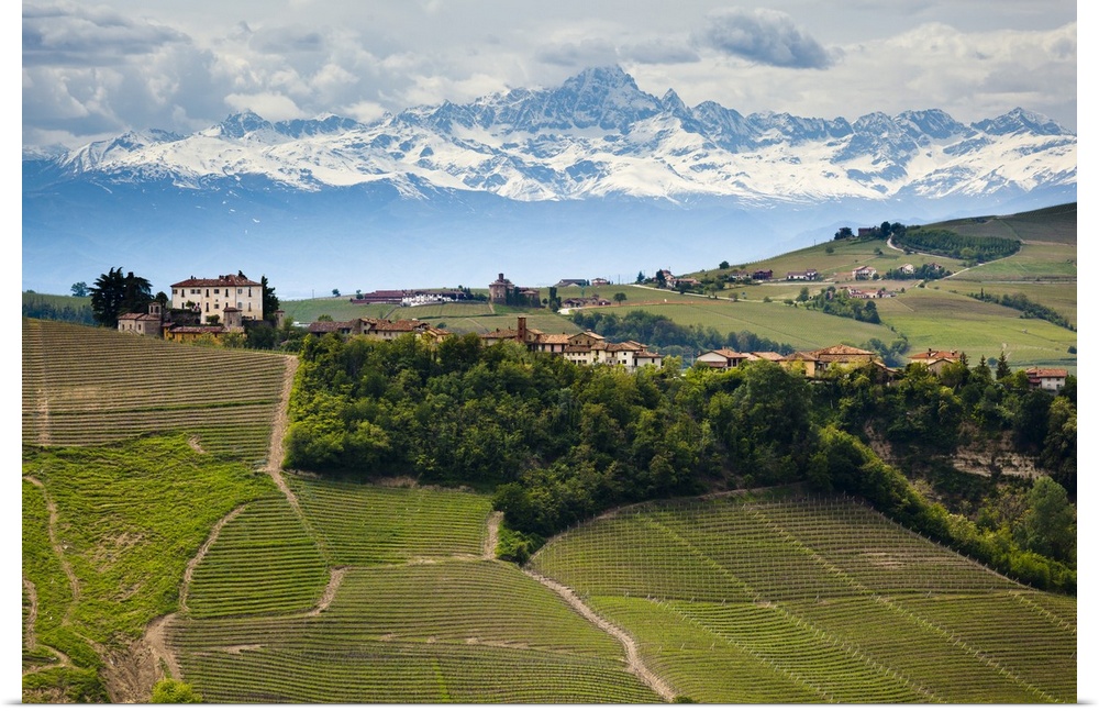 Asti Province, Piedmont, Italy