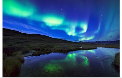 Aurora borealis over a pond in Denali National Park and Preserve, Alaska