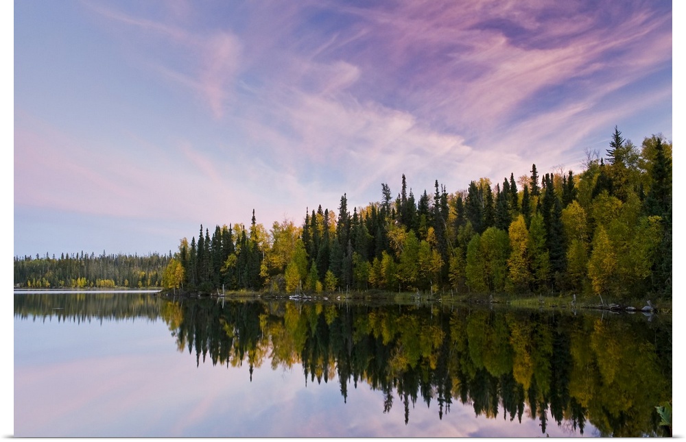 Autumn coloured foliage on the trees surrounding Dickens Lake at sunset; Saskatchewan, Canada