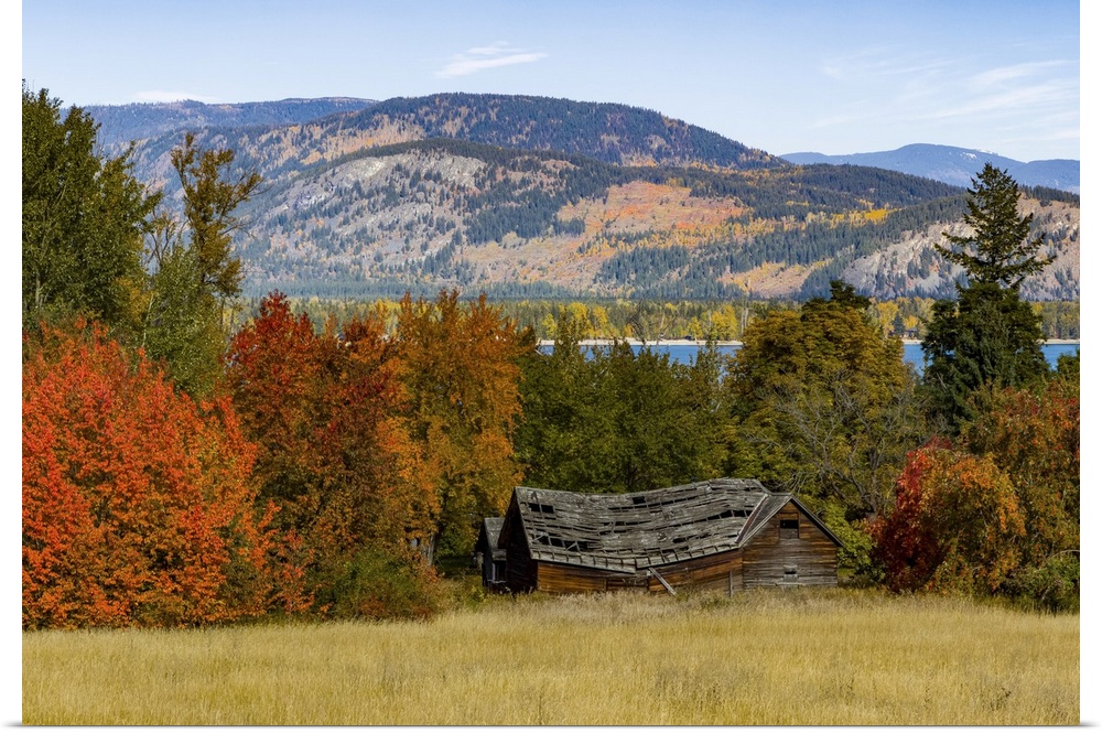 Autumn coloured foliage in the Okanagan Valley; British Columbia, Canada