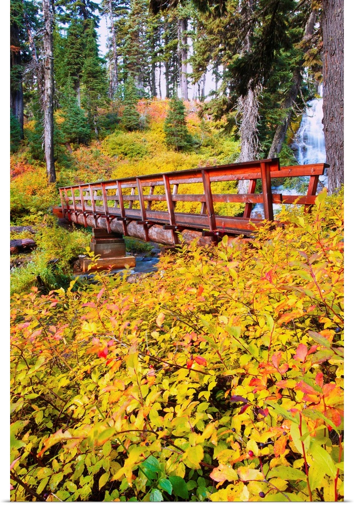 Autumn Colours Add Beauty To Umbrella Falls, Oregon, USA