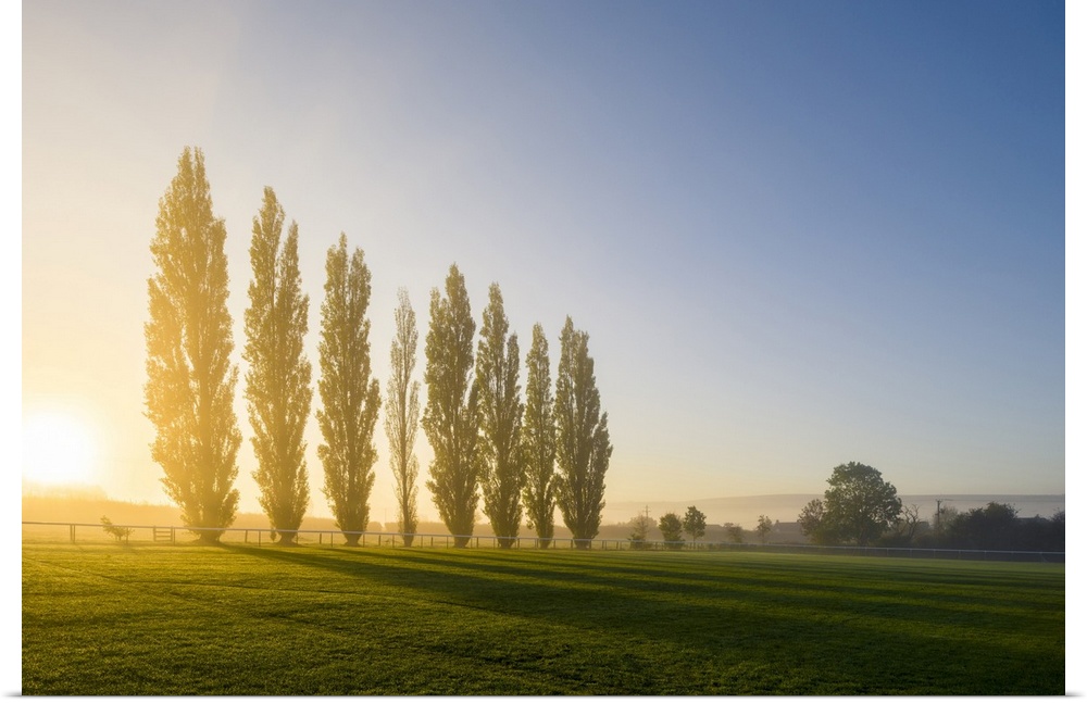 Autumn sunrise behind a row of Lombardy Poplar trees at the recreation ground in the North Somerset village of Wrington.