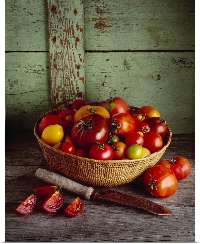 Basket of heirloom tomatoes of various varieties with a slicing knife and sliced tomato