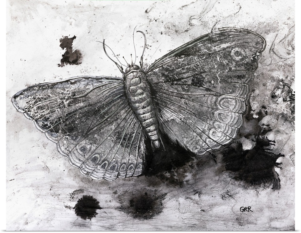 Black and white illustration of a butterfly.