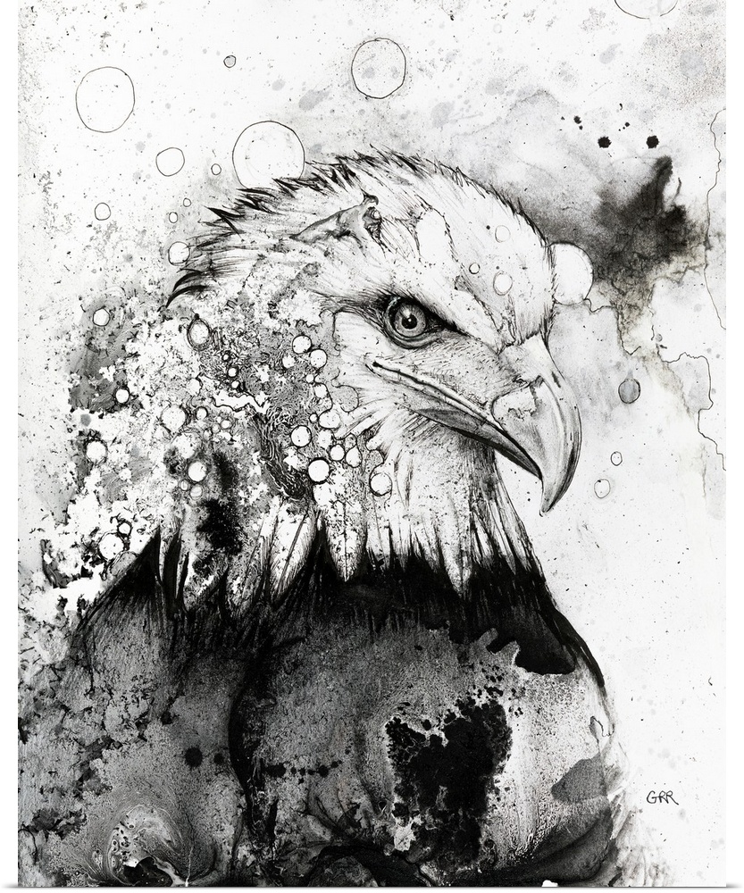 Black and white illustration of an eagle, illustration.