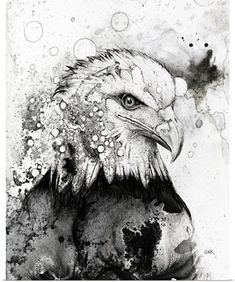 Black And White Illustration Of An Eagle, Illustration