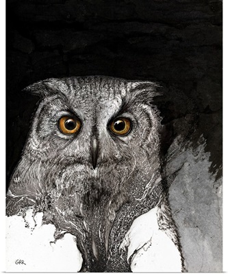 Black And White Illustration Of An Owl