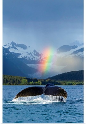Bright Rainbow Over Eagle Beach With A Fluking Humpback Whale, Alaska