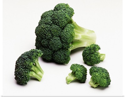 Broccoli crown, and large and small florets