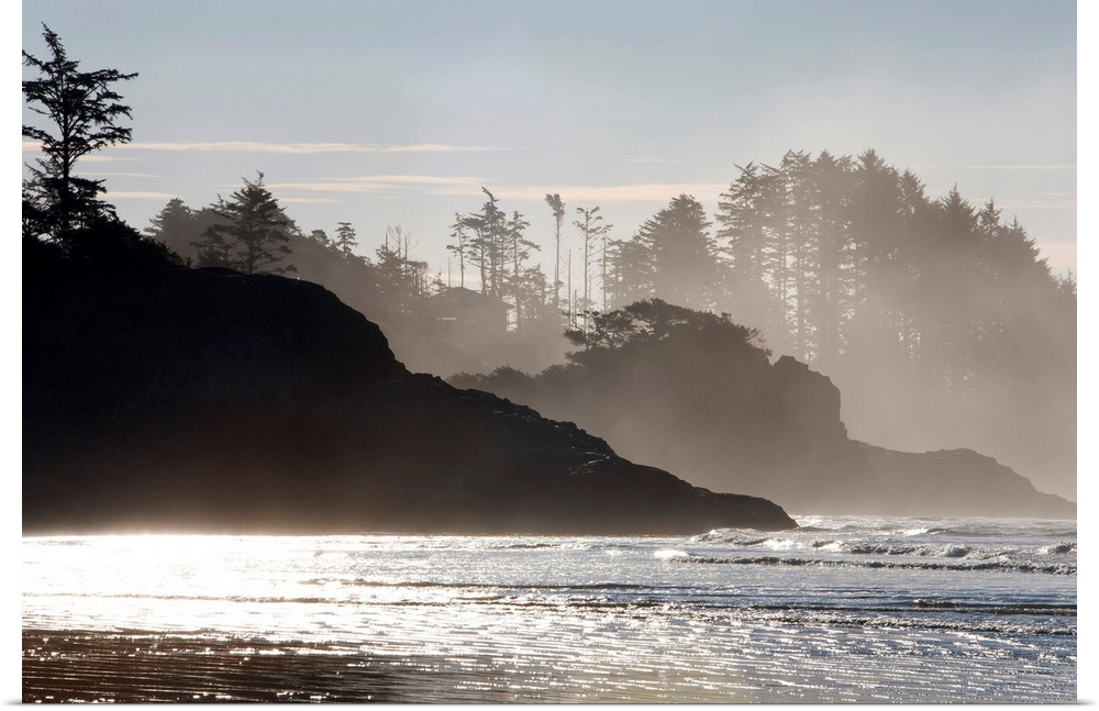 Mist rises of the sea against the silhouettes of rocks and trees in this shore line photograph taken in the morning.