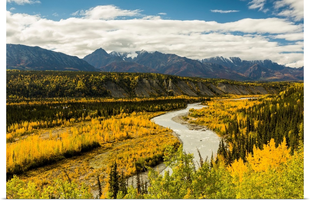 Yellows in the valley and reds in the Chugach Mountains adorn the Matanuska River and valley in autumn in Alaska, afternoon.