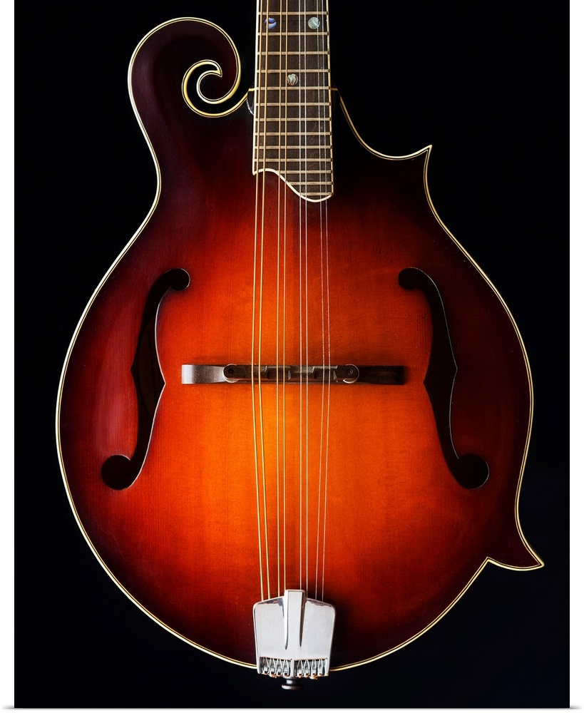 Close-up of a mandolin.