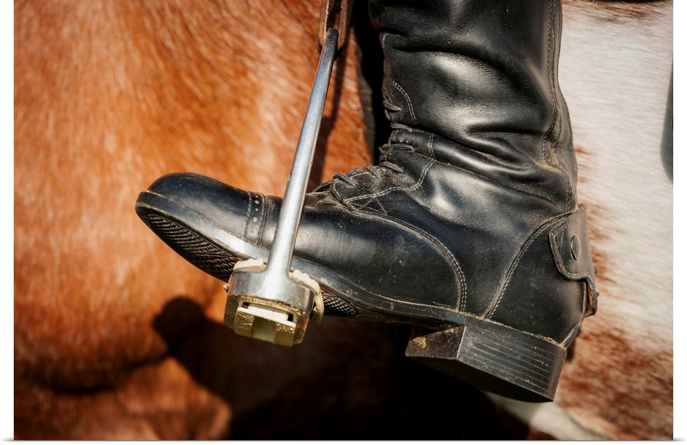 Close up of a riding boot in stirrups in Baltimore County, Maryland