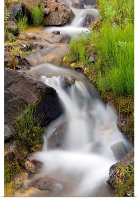 Close up of a small stream and cascade in Denali National Park during mid Summer, Alaska