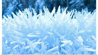 Close up of hoar frost along the North Fork of the Nooksak River