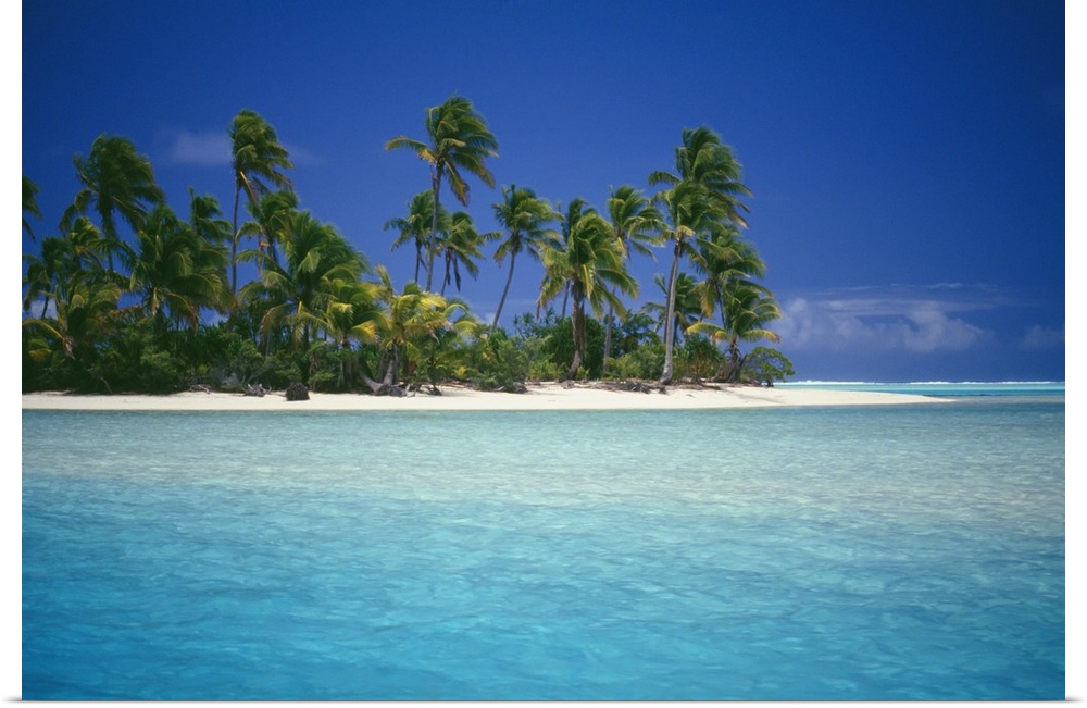 Cook Islands, Coastal Scenic Of Island With Palm Trees