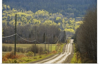 Country Road With Electrical Wires Running Along It, Thunder Bay, Ontario, Canada
