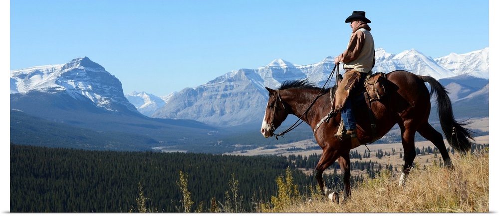 Cowboy riding with a view of the Rocky mountains, Ya-Ha-Tinda Ranch, Clearwater County, Alberta, Canada.