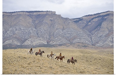 Cowboys And Cowgirls Riding Horse In Wilderness, Rocky Mountain, Wyoming