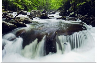 Curved Cascade On The Middle Prong River, Great Smoky Mountains, Tennessee