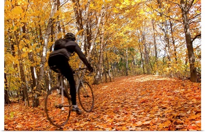 Cyclist Riding In Autumn On Humber Trail, Toronto, Canada