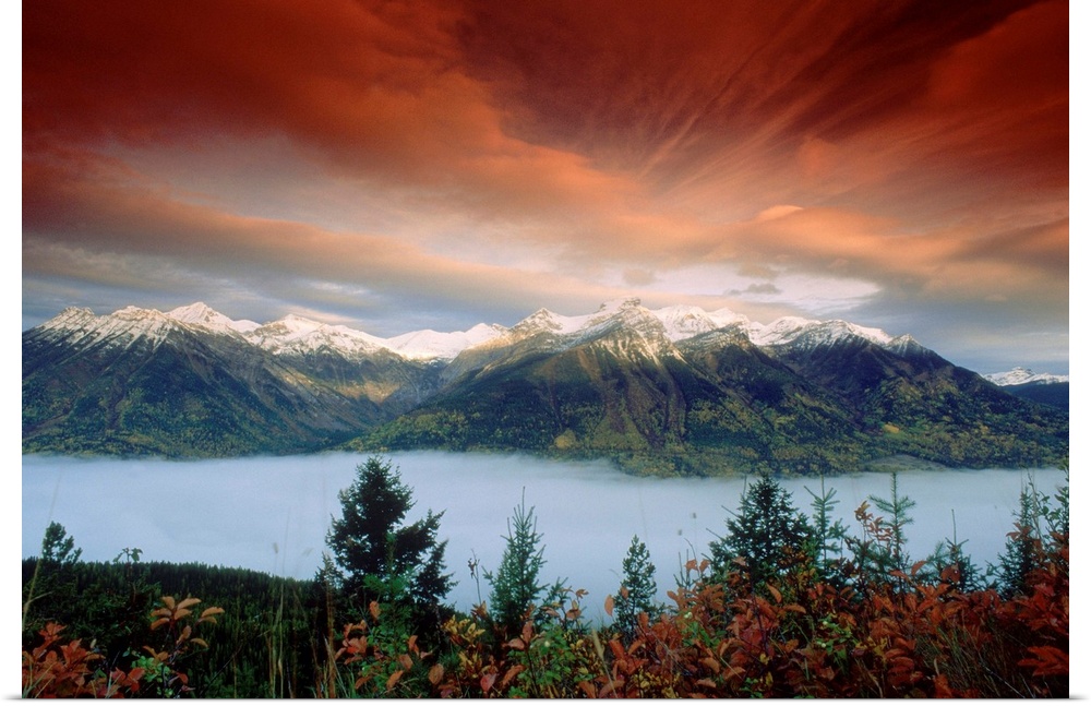 Dawn, Fog Fernie, Lizard Range, Rockies, British Columbia, Canada
