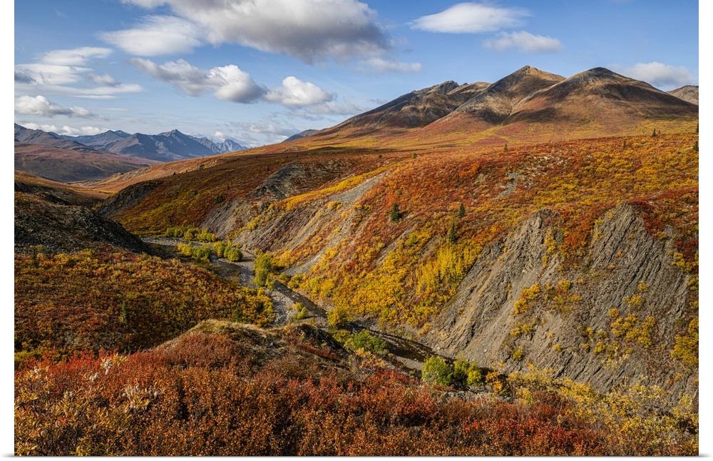 The autumn colours ignite the landscape in colour along the Dempster Highway, Yukon. An amazing, beautiful place any time ...