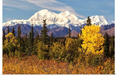 Denali, viewed from south of Cantwell, from the Parks Highway in Interior Alaska