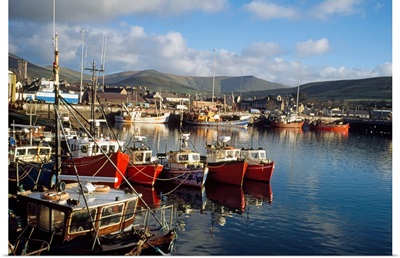 Dingle, Co Kerry, Ireland; Boats In A Port