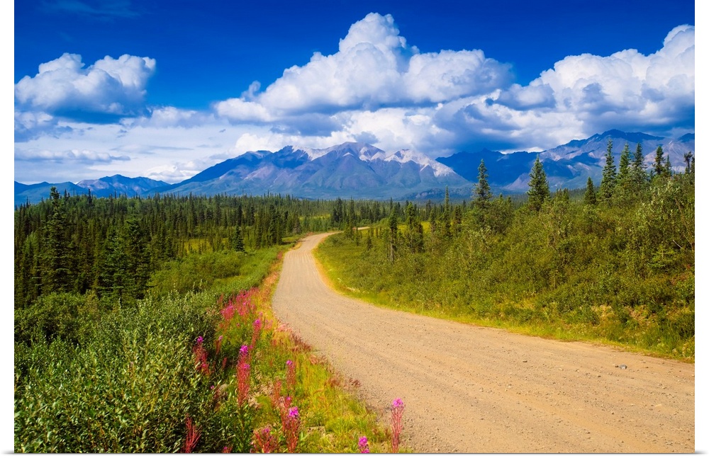Landscape photograph on a big canvas of a dirt road curving through a forest of pines and wildflowers, mountains on the ho...