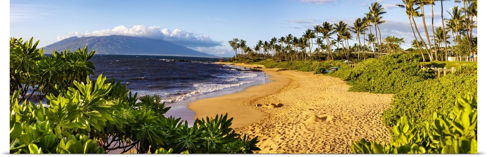Five images were combined for this dusk panorama of Ulua beach in the evening light, Wailea, South Maui, Hawaii, USA, Wail...