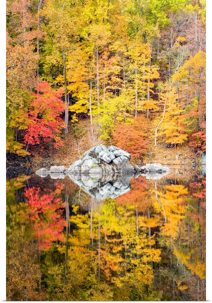 Fall coloured foliage along the C&O Canal, Chesapeake and Ohio Canal National Historical Park Cabin John, Maryland, United...