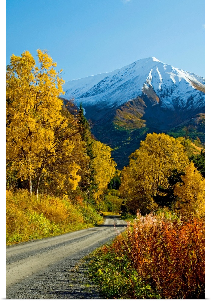 Fall colors and snowcapped peaks on the Palmer Creek Road near Hope in the Chugach National Forest on the Kenai Peninsula ...