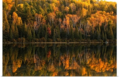 Fall Colors Reflected In The Waters Of Opeongo Lake, Algonquin Park, Ontario, Canada