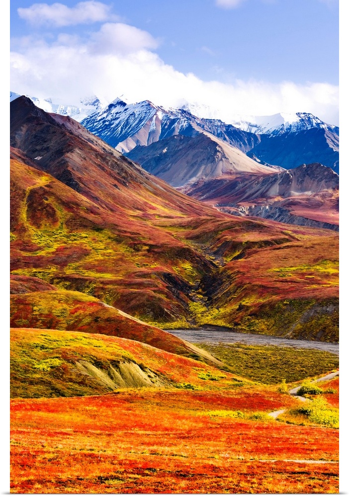 Fall Colours And Alaska Range, Denali National Park, Alaska, USA