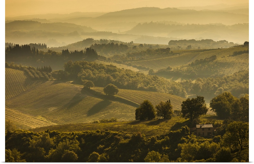 Farmland and Rolling Hills, San Gimignano, Siena Province, Tuscany, Italy