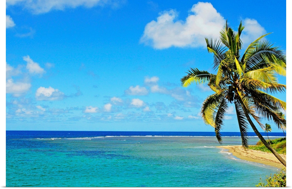 Fiji, Blue And Turquoise Ocean With Palm Tree And Sandy Beach