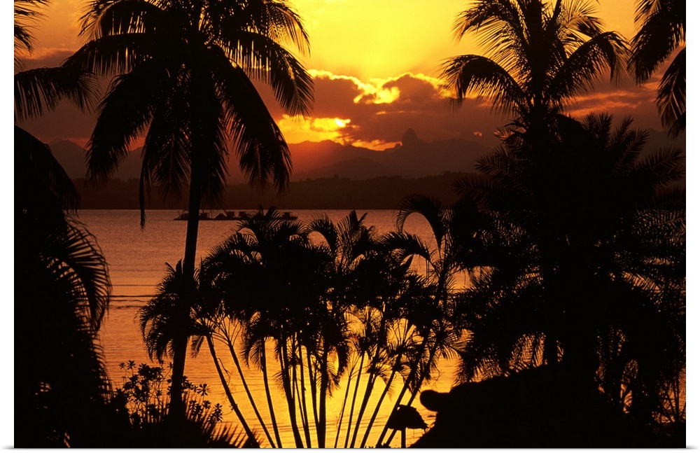 Fiji, Sunset Over Suva Bay, Silhouetted Palm Trees In Foreground