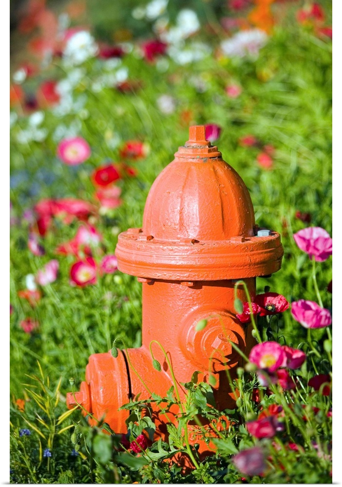 Fire hydrant and flowers, Kodiak Alaska.