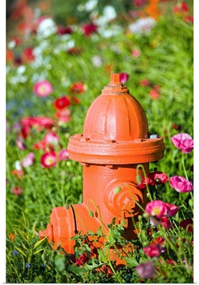 Fire hydrant and flowers Kodiak Island Southwest Alaska